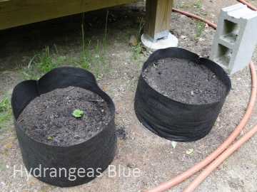 Fabric Raised Beds: The Perks of Growing Vegetables in Fabric Pots