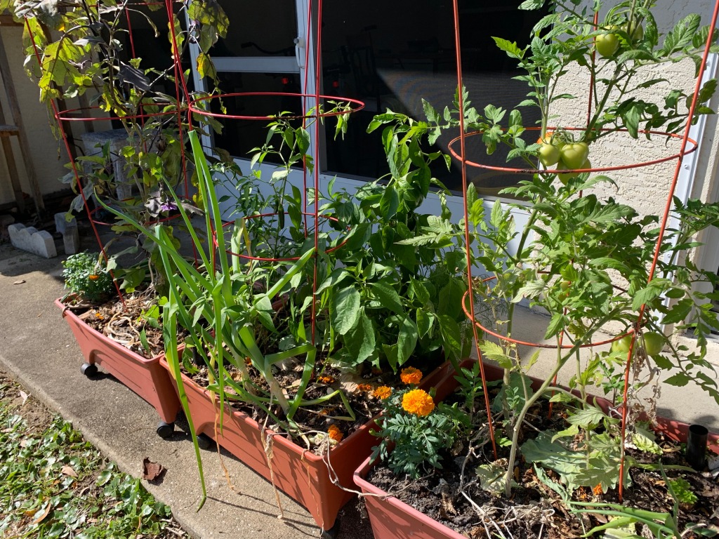 grow box gardening