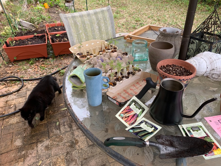 Gardening table in the backyard, with seedlings and seed packets ready to plant.