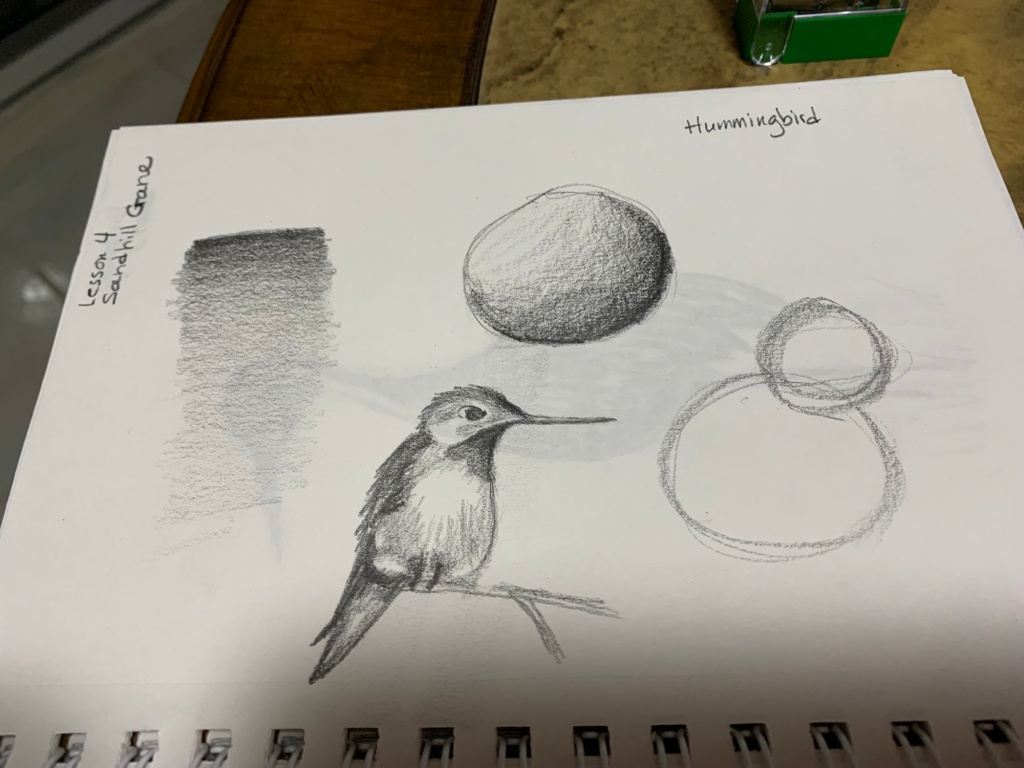 Pencil art hummingbird