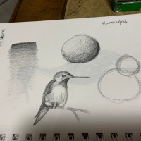 Art Class: Simple Pencil Drawings