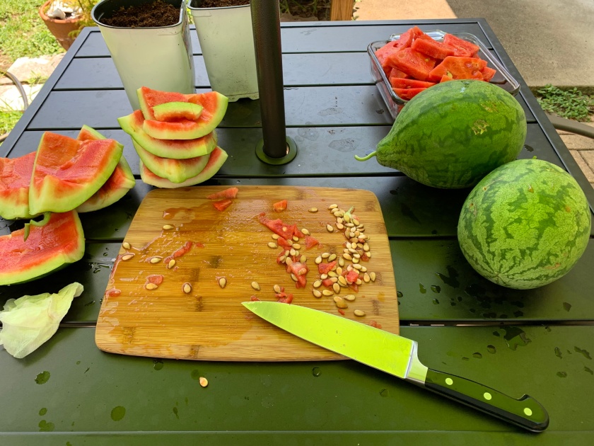 watermelon cutting board sliced fruit