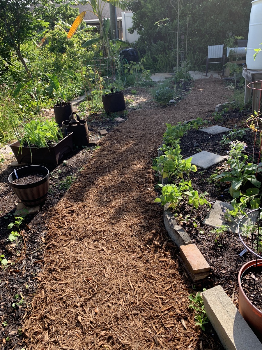 Building a New Garden Path